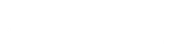 TikTok Ads